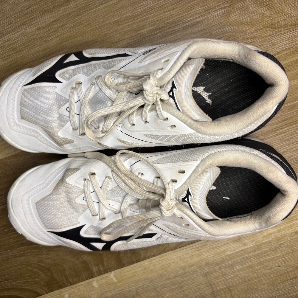 Mizuno Volleyball shoes